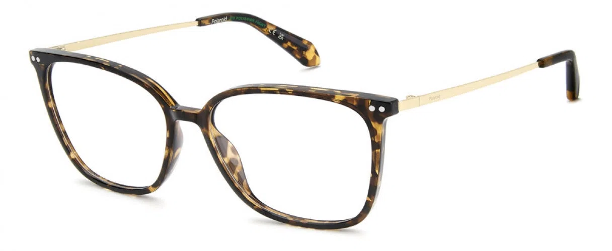 Polaroid Core PLDD616 Eyeglasses - view 3